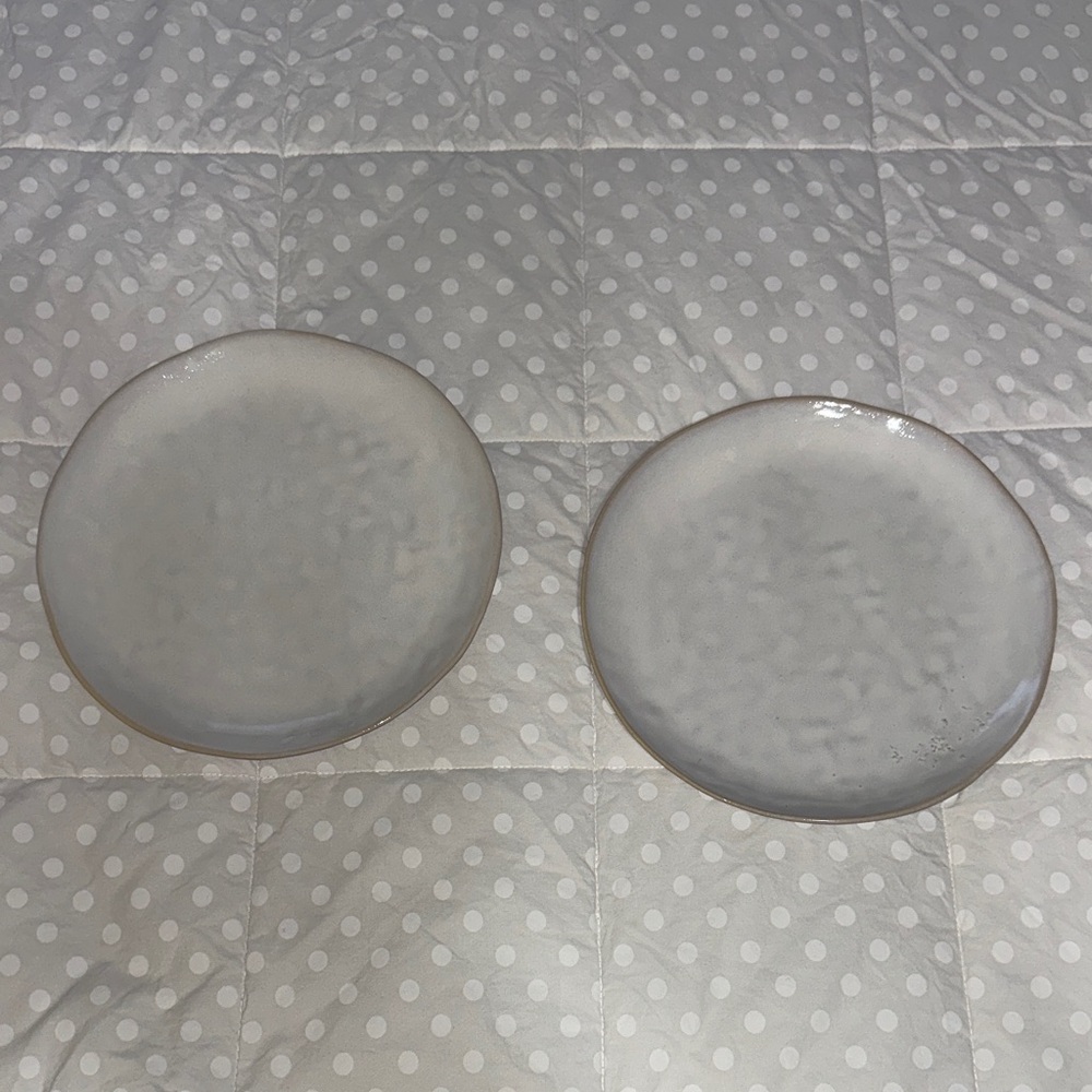 Simon Pierce Burlington plates 9 inches in diameter set of 2 excellent condition